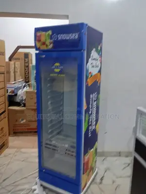 Snowsea Single Door Poweful Display Chiller Lc-300w