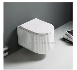 White Concealed Wc Gb03