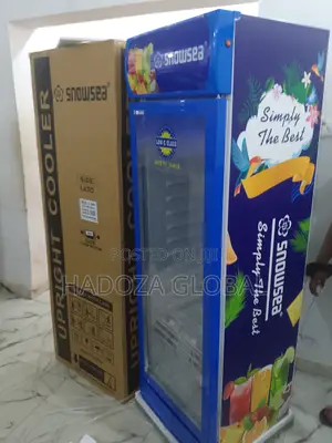 Snowsea Lc-500 Glass Door Upright Cooler – Energy Efficient
