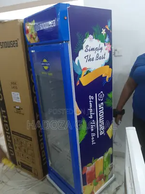 Snowsea Upright Display Refrigerator Lc-500 For Beverages