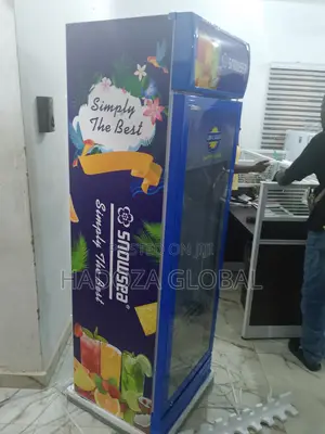 Snowsea Lc-500 Display Fridge With Temperature Control