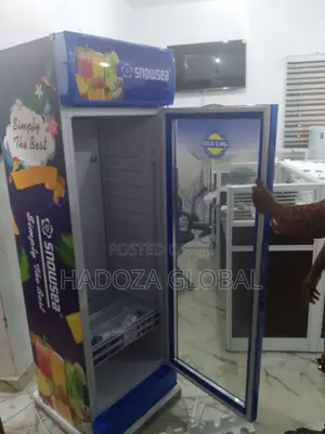 Snowsea Lc-500 Fridge For Grocery & Convenience Stores