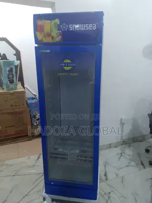 Cool More, Spend Less – Snowsea Lc-500 Upright Fridge