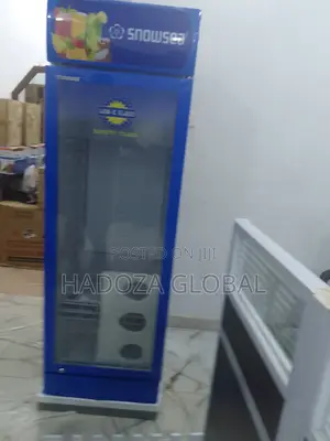 Professional Cooling Power – Snowsea Lc-500 Upright Fridge
