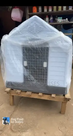Outdoor Dog House