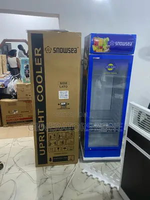 Sleek Design Meets Functionality: Snowsea Lc-300w