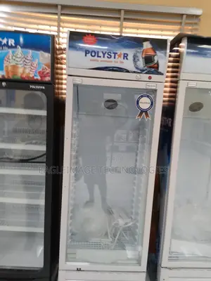 Polystar Frosty Friend Showcase Chiller Single Door 365l