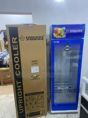 Elevate Your Kitchen With the Snowsea Lc-300w