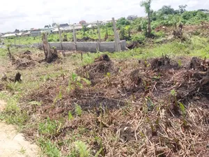 300sqm Half Plot Dwarf Fenced Estate Ijegun-Ijegemo by New Expressway