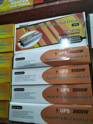 3000w Sachet Inveter With Charger