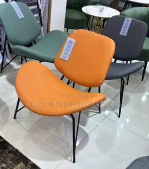 Swan Chair for Living Room