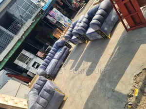 Grey Colour Padded Sofa Couch.