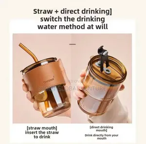 High Aesthetic Value Bamboo Glass Water Cup Lid Straw