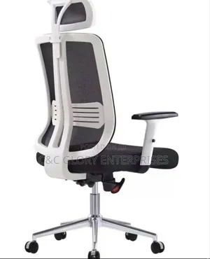 Executive Office Chair