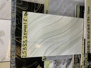 Wall Tiles 25*40 Goodwill