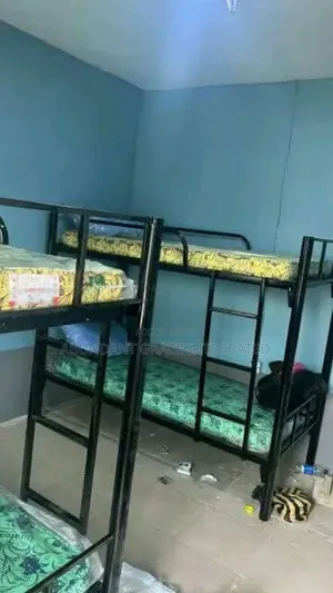 Bunk Bed for Hostels and Homes
