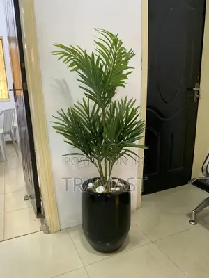 Single Stem Palm Half Slim Cylinder Vase With Combo