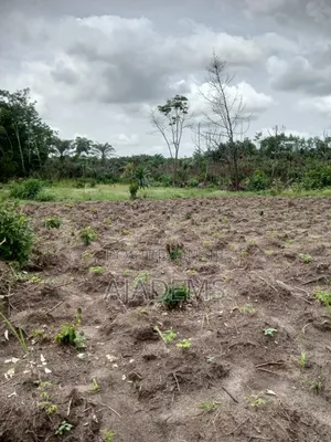 Affordable Lands