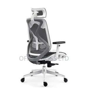 Mesh Mesh Ergonomic Swivel Office Chair for Extra Comfort