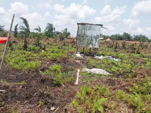 Over 25 Acres of Farmland by Mologede Jnt. Odeda Ogun State