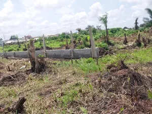 Over 300 Acres of Farmland Someke Ofada Near Lagos
