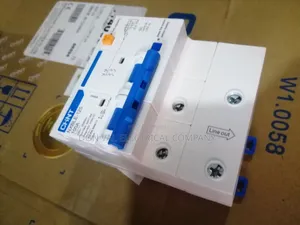 (Chint) RCB Circuit Breaker 100amp 2pole