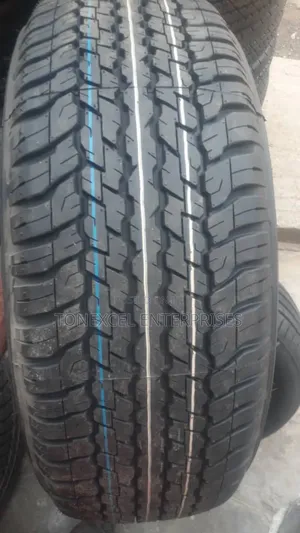 Bridgestone and Dunlop 285/65/17