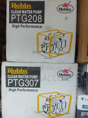 Robin Water Pump