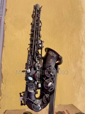 Yamaha Professional Alto Sax With Complete Accessories