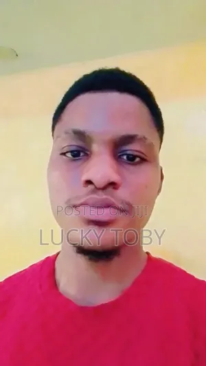 Toby Lucky Junior