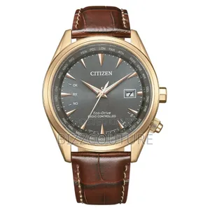 Original Citizen Eco-Drive Radio-Controlled Calfleatherwatch