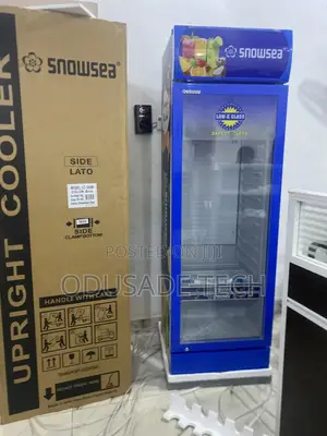 Vertical Vault Snowsea Showcase Chiller Lc-300w