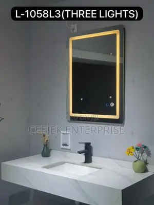 Executive Led Mirror