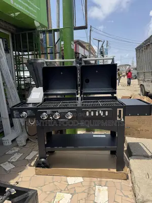 Gas and Charcoal Barbecue