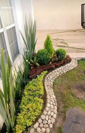 Landscape Plant to Create Habitable Aesthetic Look for Buildings