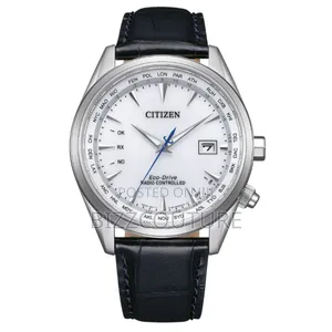 Original Citizen Eco-Drive Radio Controlled Watch
