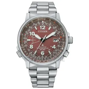 Original Citizen Eco-Drive Radio-Controlled Wr 200 Watch