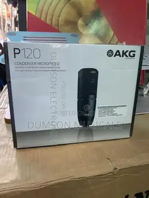 Akg P120 Studio Condenser Microphone