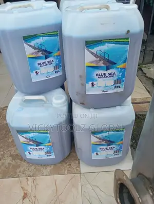 Algaecide Algae Remover (20litres)