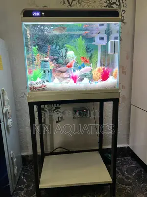 42 Litters Imported Tank