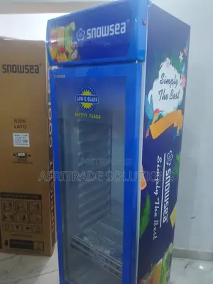 Portable Snowsea 300litres Lc-300w Chiller