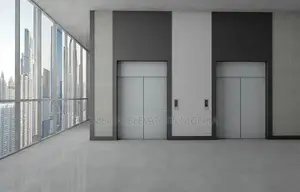 3-20 Person Commercial Hotel Passenger Lift