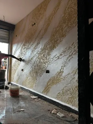 Professional House Painting, Wall Screeding Decorative Stucco Design