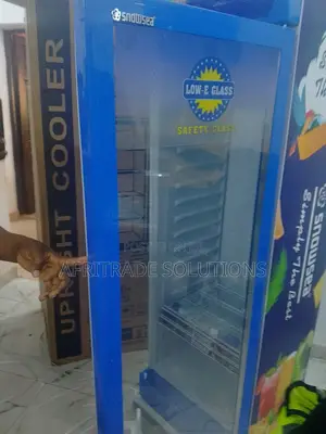 Snowsea Lc-300l Efficient Blue Chiller