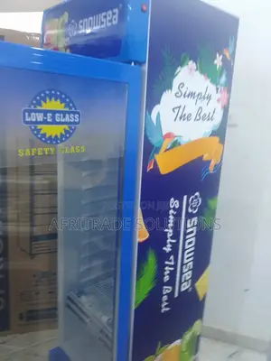 Best Selling Snowsea 300litres Fast Chiller