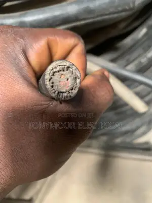 4mm 2core Amord Cable Available