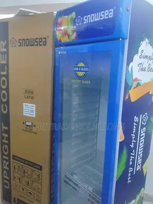 Single-Door Snowsea 300litres Fast Chiller