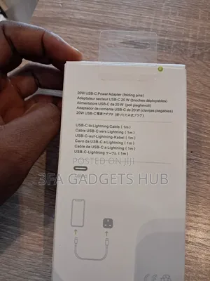 Apple iPhone Charger