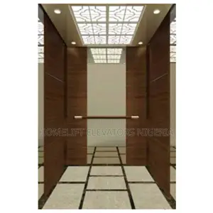 Home Elevator Hydraulic Electric Lift