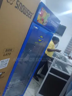 Snowsea 300litres Single Door Showcase